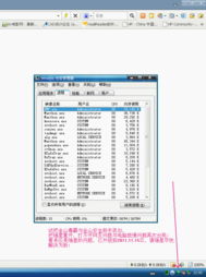 瑞星軟件升級(jí)后聯(lián)網(wǎng)異常問題深度解析與解決方案